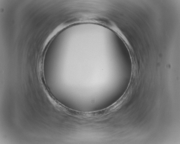 X0000080781101200701021141