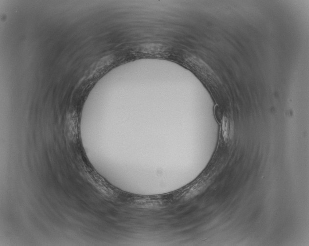 X0000080781107200701021140
