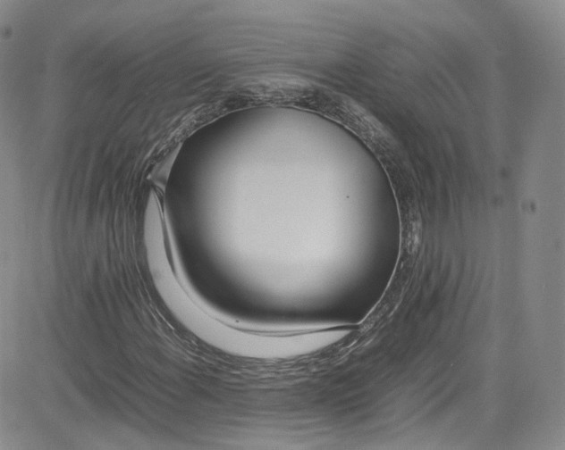 X0000080781108200701021140
