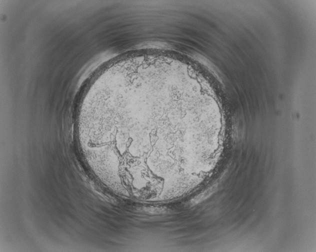 X0000080781117200701021140