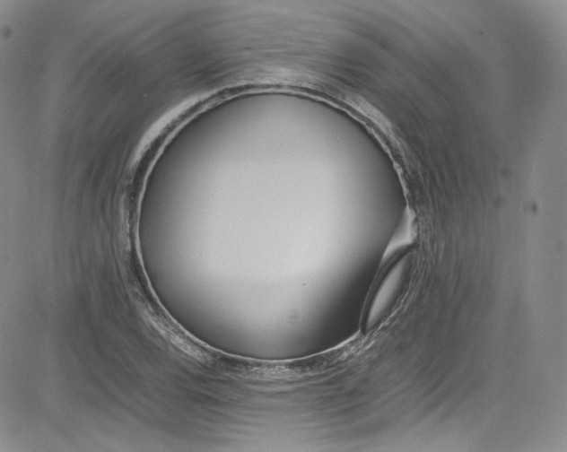 X0000080781120200701021140
