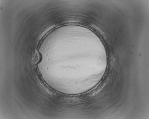 X0000080781121200701021140