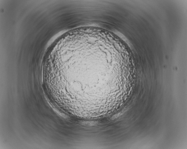 X0000080781127200701021140