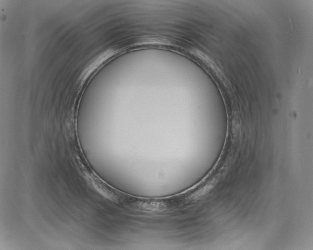 X0000080781129200701021140