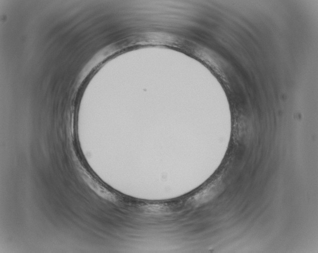 X0000080781130200701021140