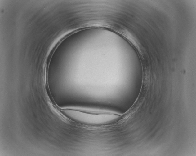 X0000080781132200701021140
