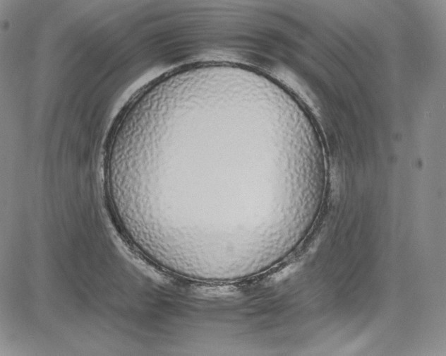 X0000080781133200701021140