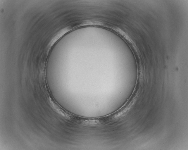 X0000080781137200701021141