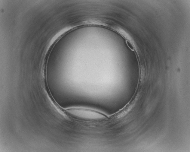 X0000080781141200701021141