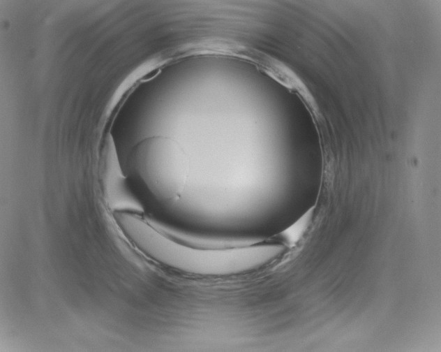 X0000080781146200701021141