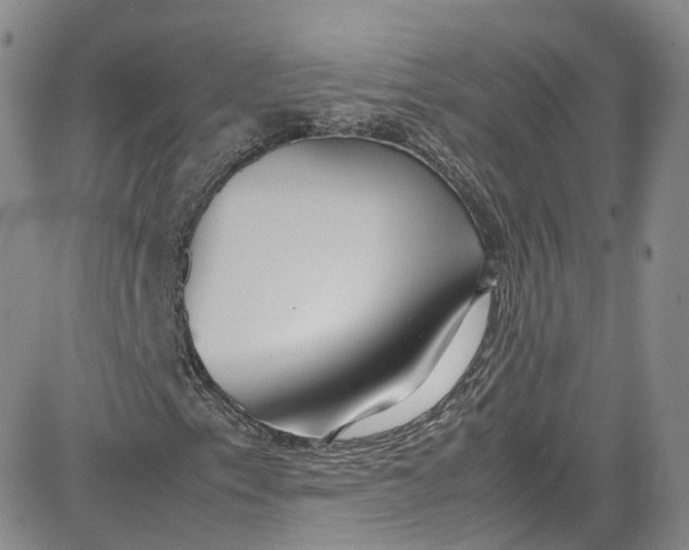 X0000080781153200701021140