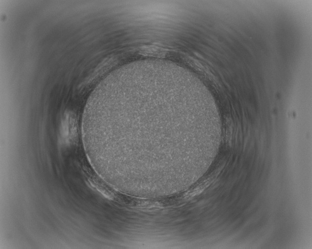 X0000080781154200701021140