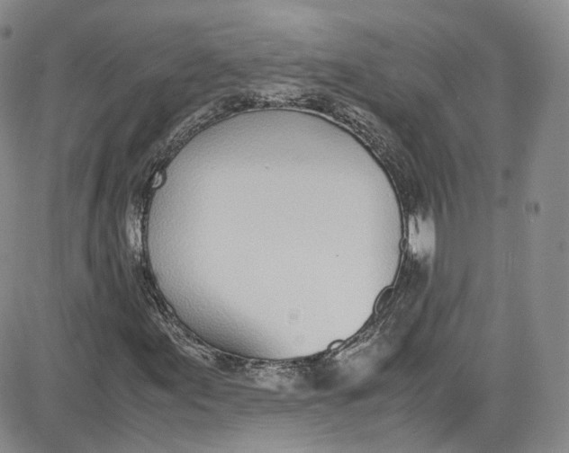 X0000080781155200701021140