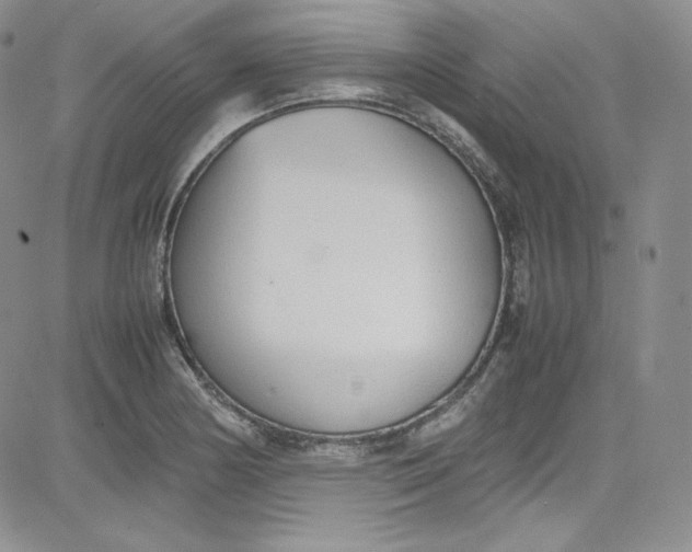 X0000080781178200701021140