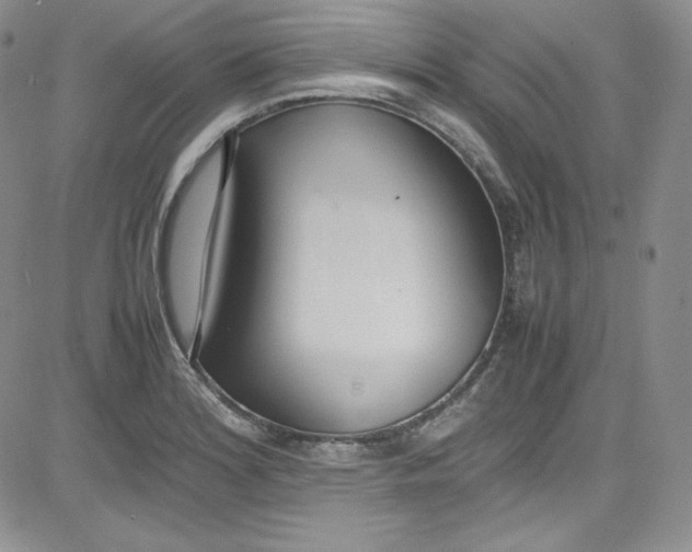 X0000080781180200701021140