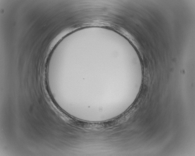 X0000080781187200701021139