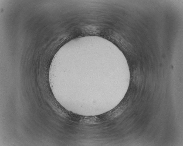 X0000080781201200701021138