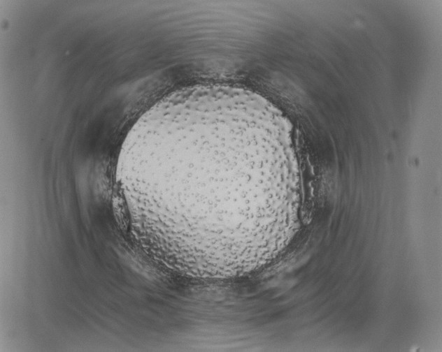 X0000080781202200701021138