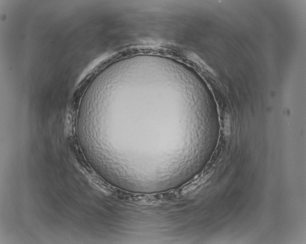 X0000080781208200701021139