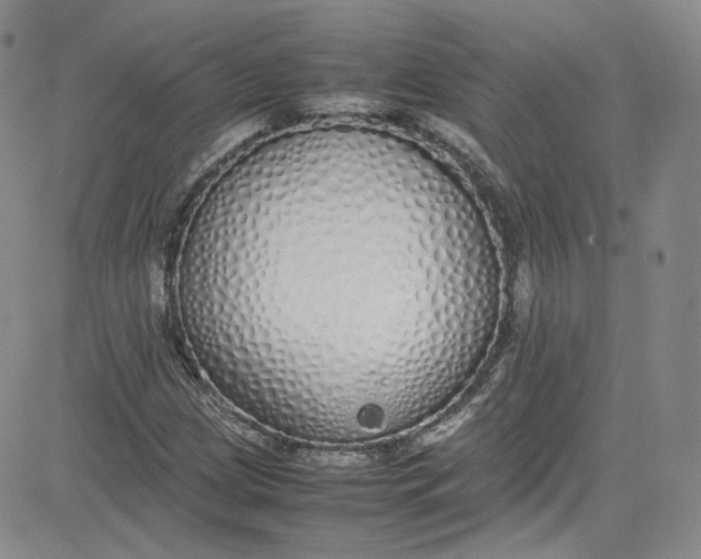 X0000080781209200701021139