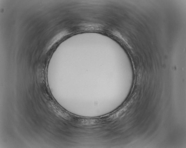 X0000080781211200701021139