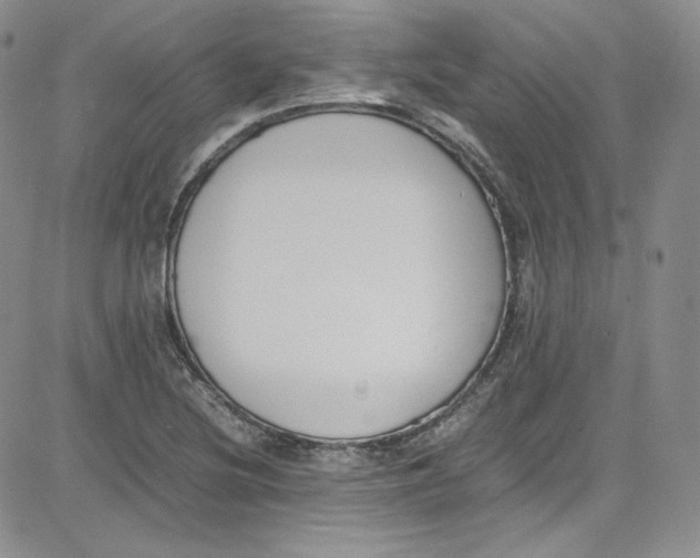 X0000080781220200701021139