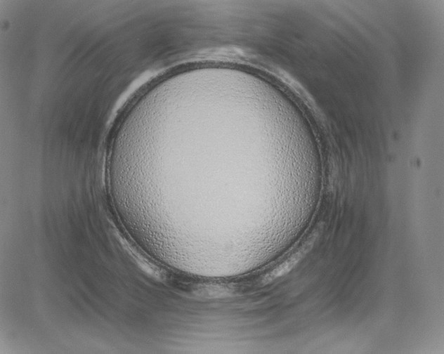 X0000080781224200701021139