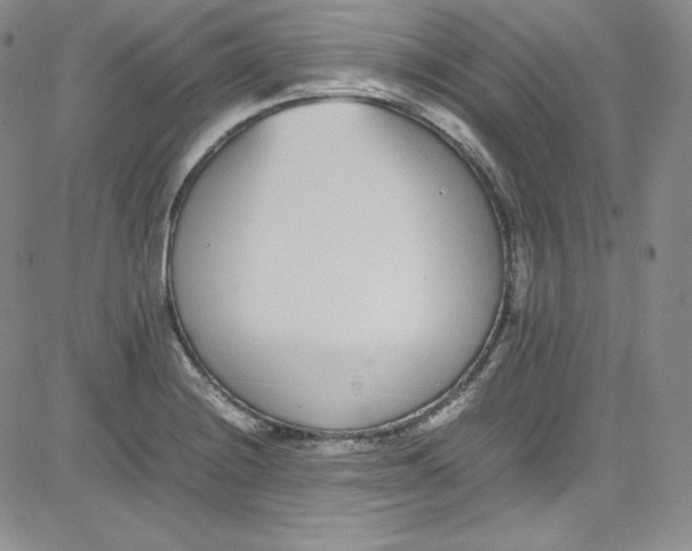 X0000080781228200701021139