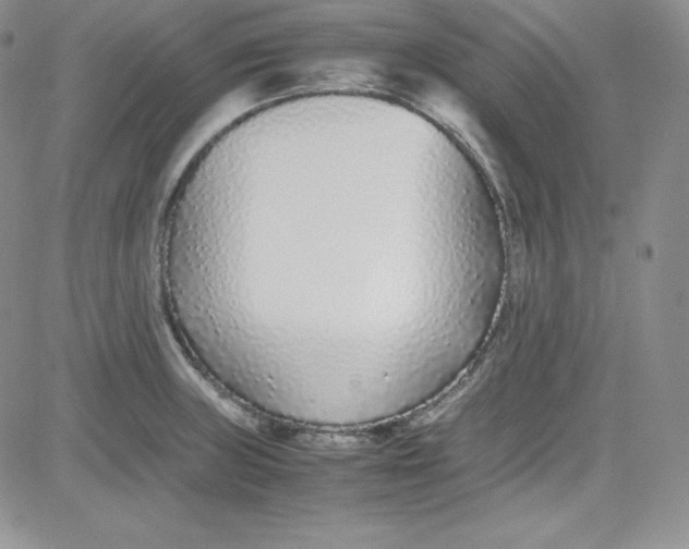 X0000080781235200701021139