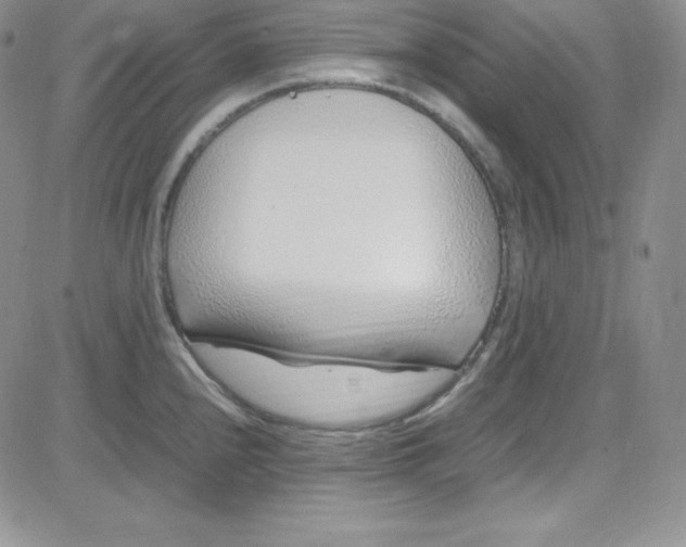 X0000080781240200701021139