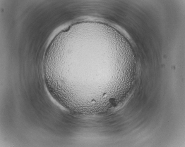 X0000080781247200701021139