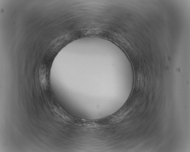 X0000080781250200701021138