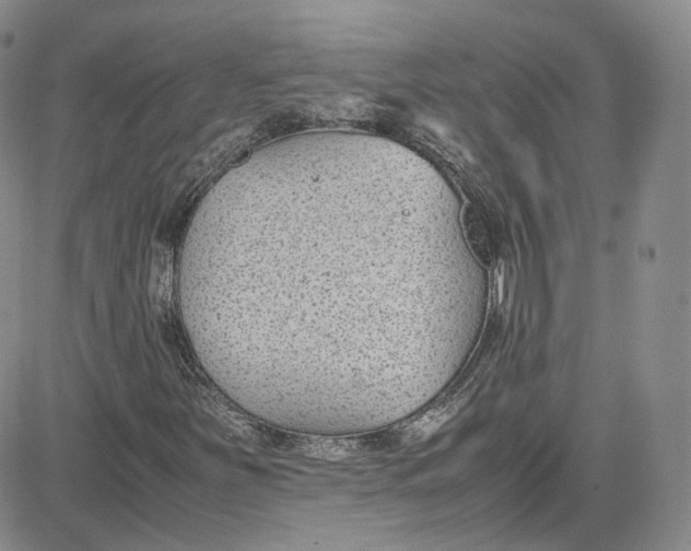 X0000080781251200701021138