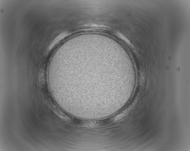 X0000080781259200701021138