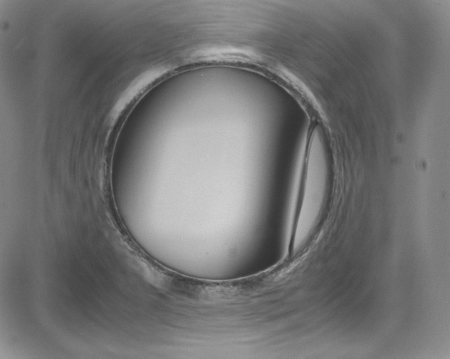 X0000080781277200701021138