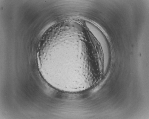 X0000080781289200701021138