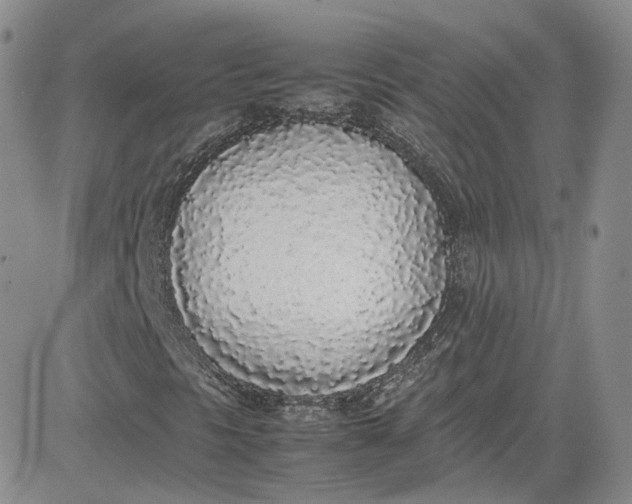 X0000080781297200701021137