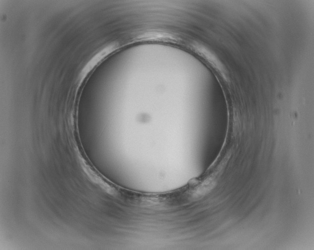 X0000080781330200701021137