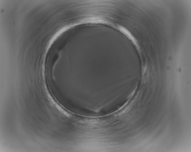 X0000080781334200701021138