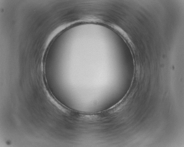 X0000080781335200701021138