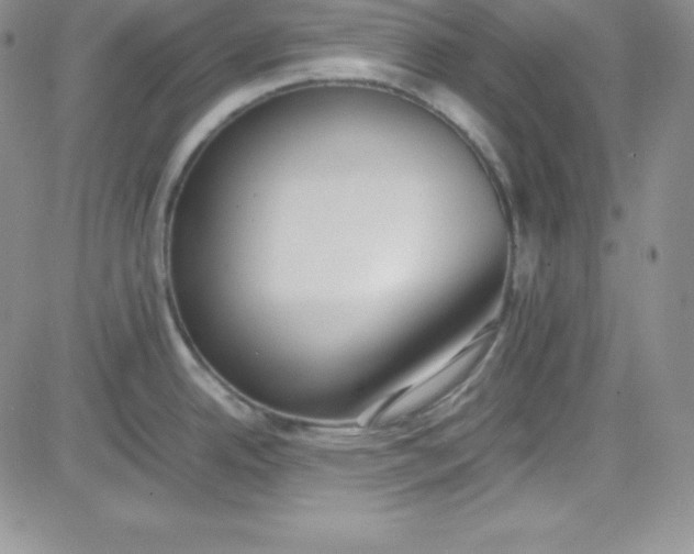 X0000080781342200701021138