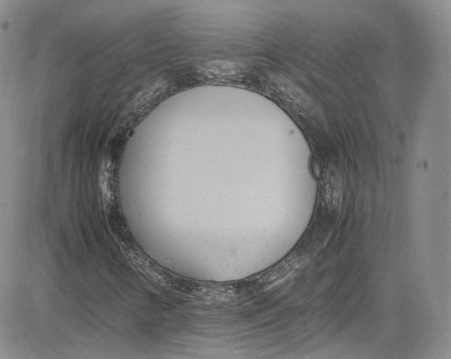 X0000080781346200701021137