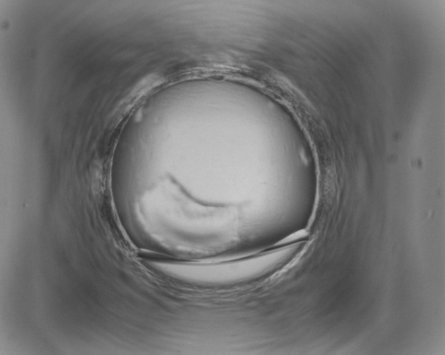 X0000080781353200701021137