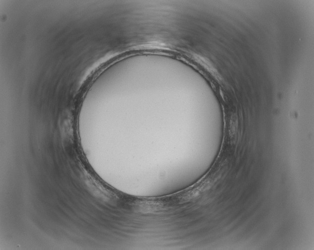 X0000080781356200701021137