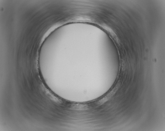 X0000080781374200701021136