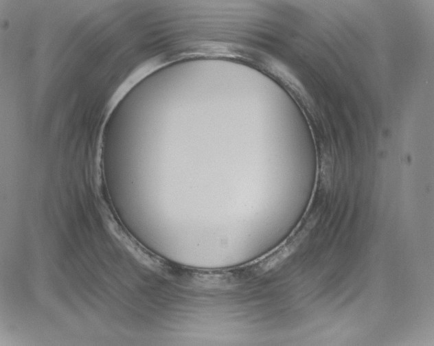 X0000080781378200701021136