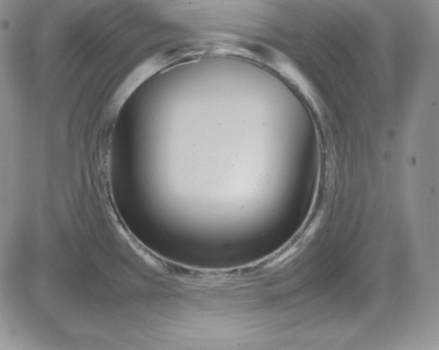 X0000080781385200701021136