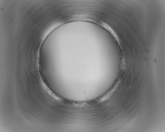 X0000080781386200701021136