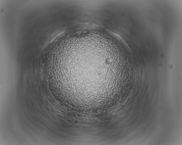 X0000080781399200701021135