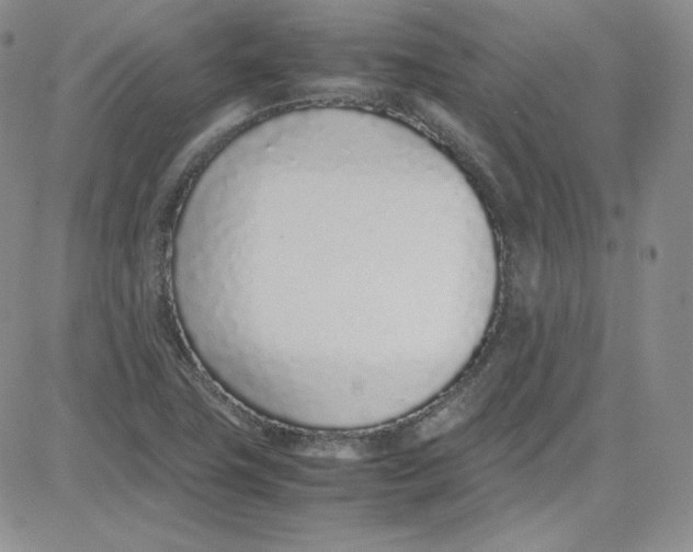 X0000080781411200701021136
